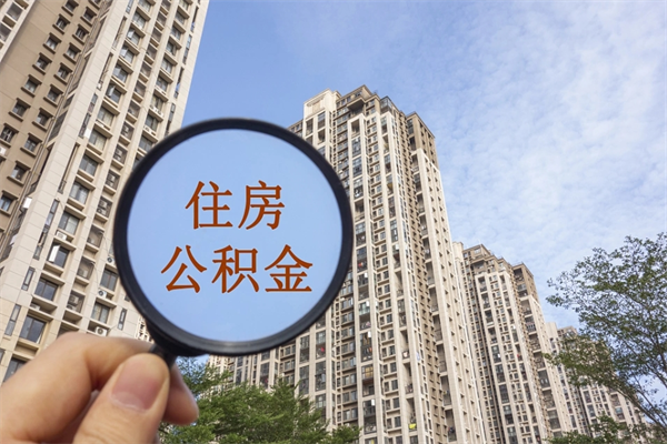 韶关离职后公司不给转公积金怎么办（离职后公司不给转社保怎么办）